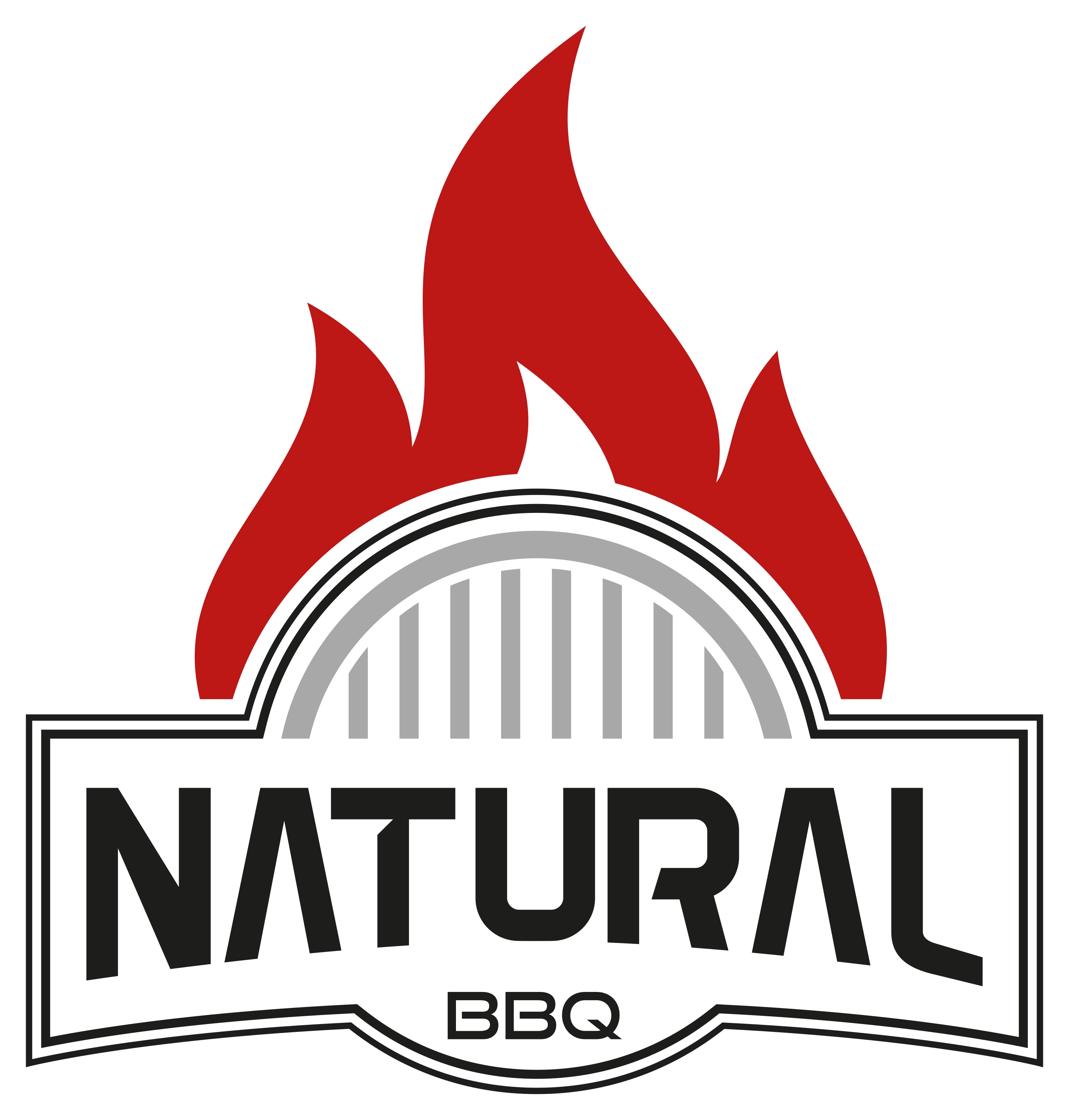 NATURAL SOBA SANAYİ | Markasınına ait logo